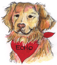 Echo the Daytripper Dog